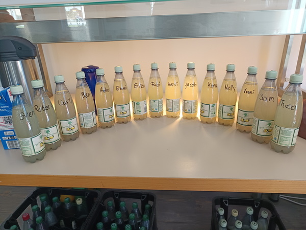 IMG_20260407_140456_2